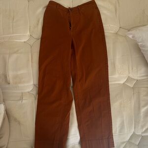 Everlane straight leg Terracotta Chinos